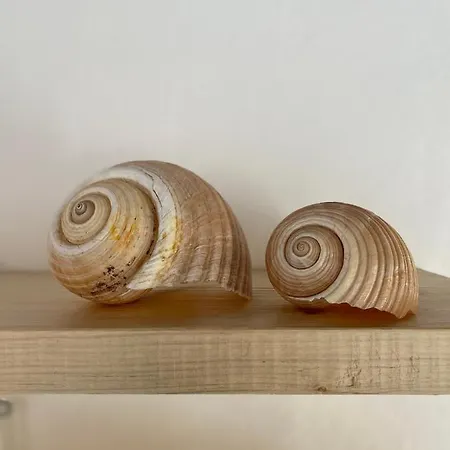 Apartment Azure Blue *